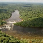 Conservation International Suriname Carbon Credits Suriname