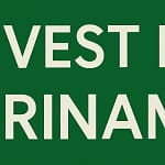 Waarom zou er interesse zijn in Suriname te investeren, als er zoveel andere aantrekkelijke alternatieven zijn. Invest Suriname