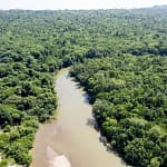 Suriname Monetizes Carbon Credits Climate & COâ‚‚ Credits